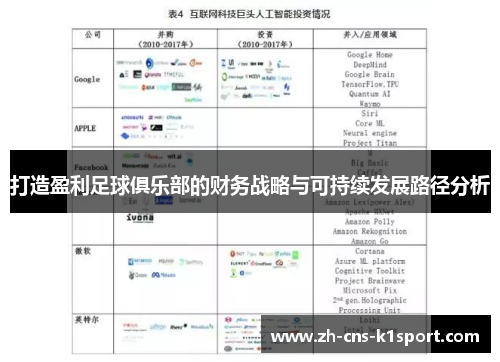 打造盈利足球俱乐部的财务战略与可持续发展路径分析