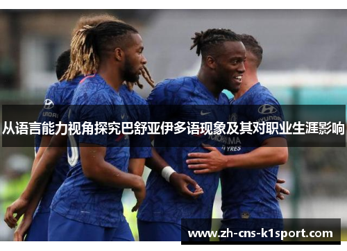 从语言能力视角探究巴舒亚伊多语现象及其对职业生涯影响 从语言能力视角探究巴舒亚伊多语现象及其对职业生涯影响