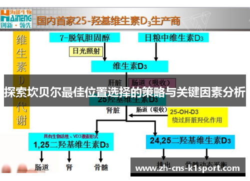 探索坎贝尔最佳位置选择的策略与关键因素分析 探索坎贝尔最佳位置选择的策略与关键因素分析