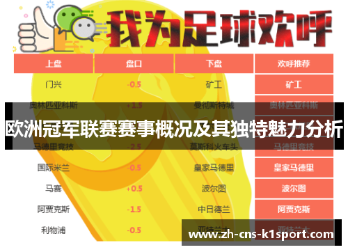 欧洲冠军联赛赛事概况及其独特魅力分析