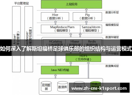 如何深入了解斯坦福桥足球俱乐部的组织结构与运营模式