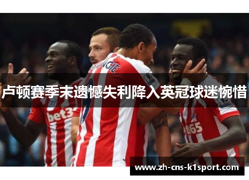 卢顿赛季末遗憾失利降入英冠球迷惋惜 卢顿赛季末遗憾失利降入英冠球迷惋惜